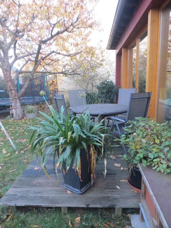 דרזדן Gartenhaus Klotzsche מראה חיצוני תמונה