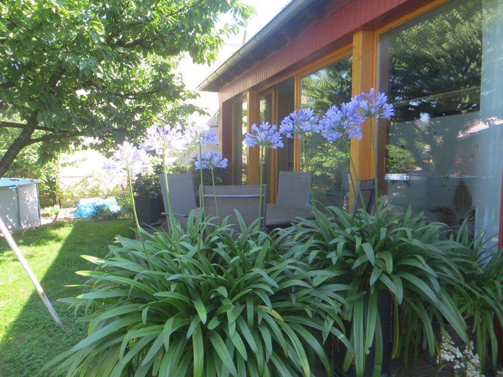 דרזדן Gartenhaus Klotzsche מראה חיצוני תמונה
